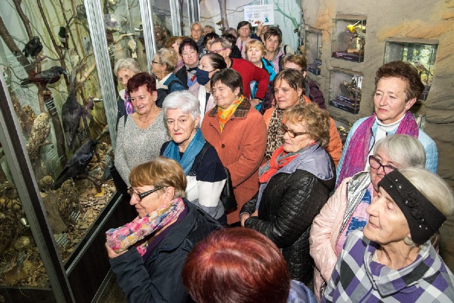 mt_gallery: ciezkowice