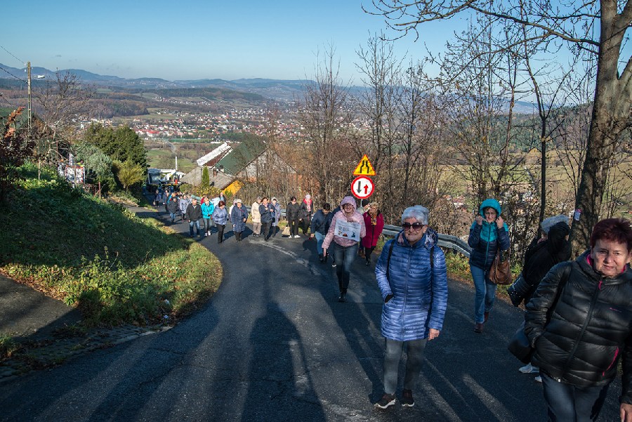 mt_gallery: kobalowka