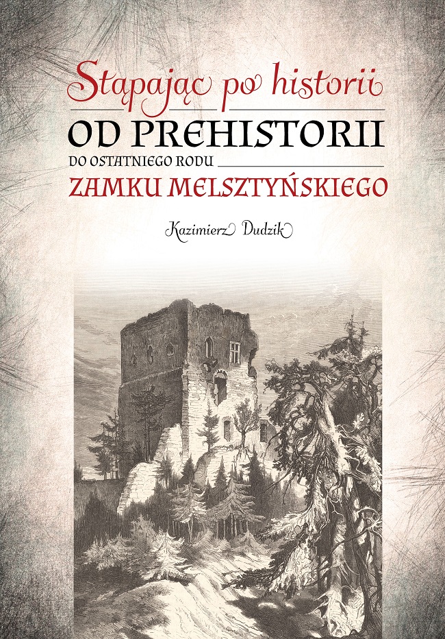 Stąpając po historii okładka przód